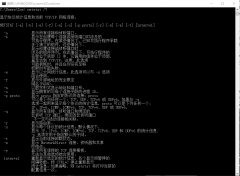 美國(guó)服務(wù)器Netstat命令的使用